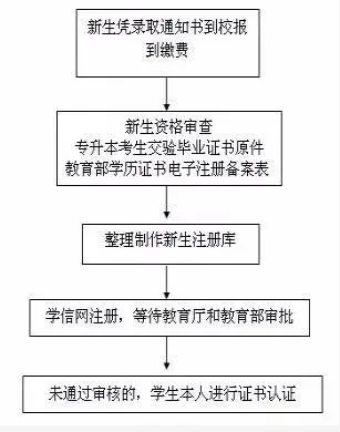 2022年深圳成人高考新生学籍注册与查询 